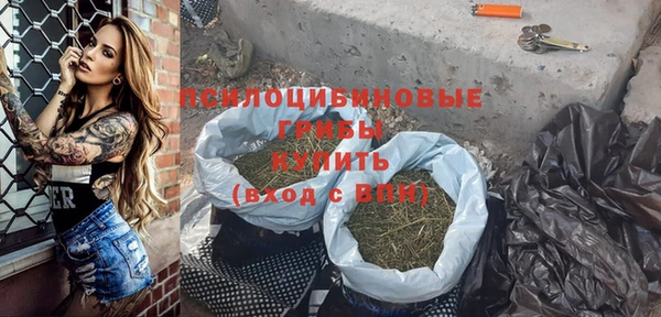 мдпв Володарск