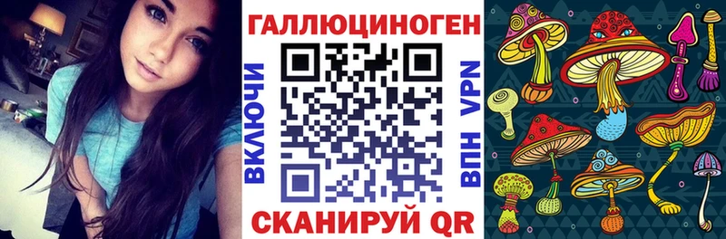 Псилоцибиновые грибы мухоморы  Переславль-Залесский 